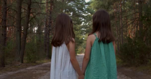 Δύο όμορφα κορίτσια περπατούν στο δάσος. — Αρχείο Βίντεο