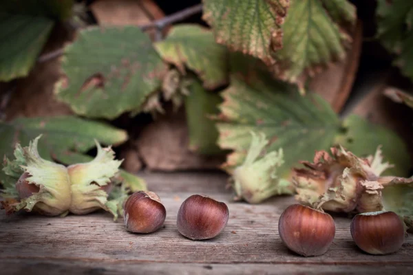 Hazelnuts in wooden table — Stock Photo, Image