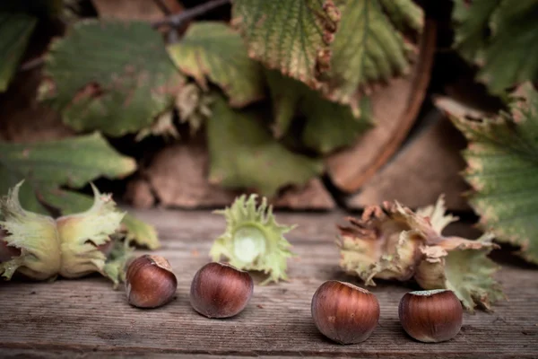 Hazelnuts in wooden table — Stock Photo, Image