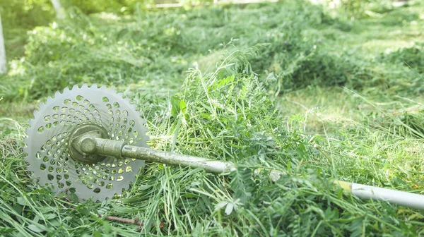 Rasentrimmer Mit Gras Garten — Stockfoto