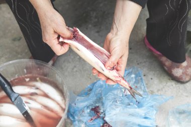 Taze balık temizleyen bir kadın..