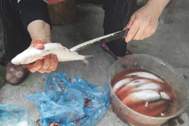 Siyah bıçaklı kadın taze balık temizliyor..