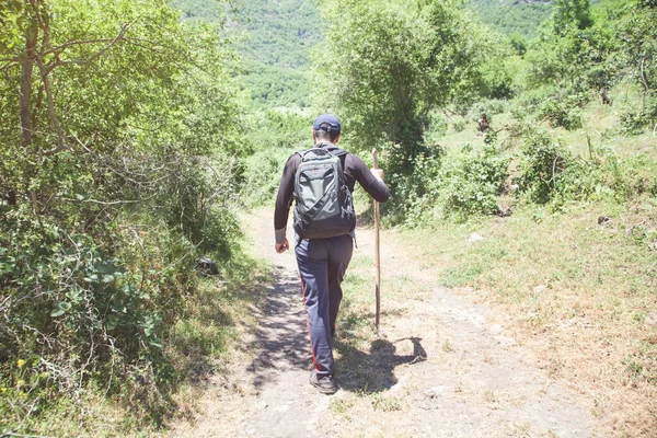 Egy Hátizsákos Férfi Sétál Erdőben — Stock Fotó