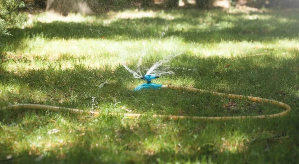 Automatic Watering Sprinkler Watering Grass Park — Stock Photo, Image