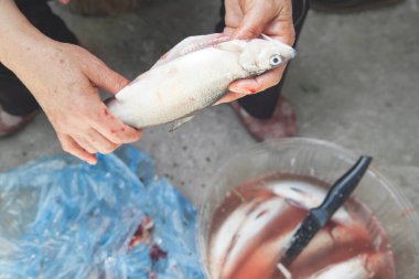 Taze balık temizleyen bir kadın..