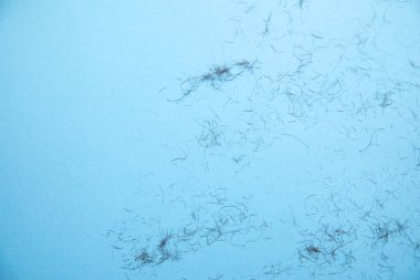 Mavi arka planda insan vücudu kılı var..