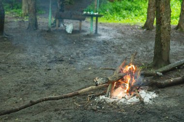 Ormanda kamp ateşi. Ermenistan
