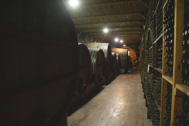 Bir depoda şarap fıçıları. Şarap deposu.