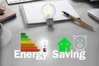 Enerji tasarrufu konsepti. Domuz kumbarası, ev, ampul. Enerji Verimliliği