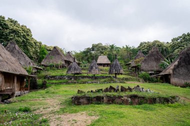 Bajawa, Flores, Endonezya 'daki Belaraghi geleneksel köyünün bir fotoğrafı. Bu otantik kültür alanı, köyün merkezindeki eşsiz sazdan çatılı evleri, taş yapıları ve küçük tapınakları gösteriyor..