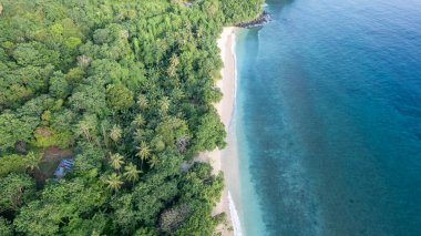 Temiz, canlı turkuaz ve derin mavi okyanus sularıyla el değmemiş kumlu bir plajın çarpıcı yüksek açılı görüntüsü..