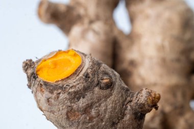 Doğal dokuyu ve toprak rengini gösteren taze zerdeçal kökünü kapatın. Genellikle baharat, bitki ve geleneksel ilaç malzemesi olarak kullanılır..