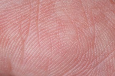 İnsan deri dokusunun ve parmak izlerinin uç makro görüntüsü. Güvenlik ve kimlik kavramları için soyut pembe arkaplan.