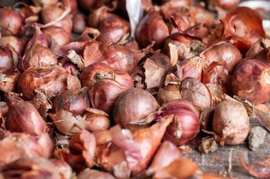 Yakın çekim organik kırmızı soğan yığını veya doğal kuru kağıt cilt dokusunu gösteren arpacık soğanı. Yemek, yemek pişirme ve hasat temaları için mükemmel..