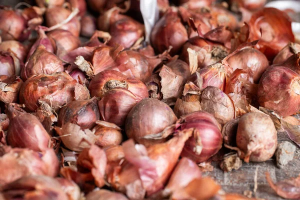 Yakın çekim organik kırmızı soğan yığını veya doğal kuru kağıt cilt dokusunu gösteren arpacık soğanı. Yemek, yemek pişirme ve hasat temaları için mükemmel..