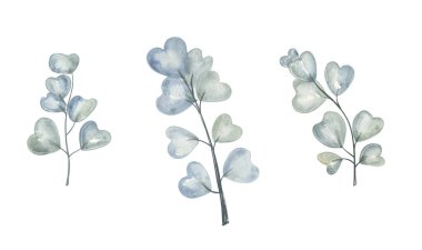 Çeşitli şekil ve boyutlarda farklı yaprak türleri. Renkler çoğunlukla yeşil ve mavi. Tasarım, beyaz arkaplanda basit bir yaprak düzenini içerir..