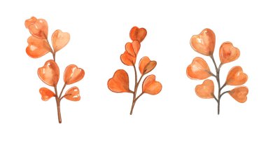 Kalp şeklinde yaprakları olan üç dal gösteriliyor. Yapraklar farklı turuncu tonlarda boyanmış. Her dal eşsiz bir yaprak düzenine sahiptir. Arka plan sade..