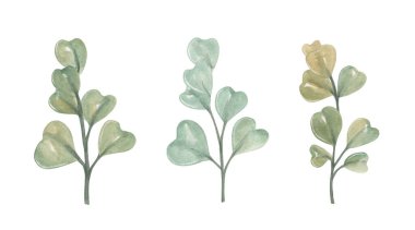 Çeşitli şekil ve boyutlarda farklı yaprak türleri. Renkler çoğunlukla yeşil ve mavi. Tasarım, beyaz arkaplanda basit bir yaprak düzenini içerir..