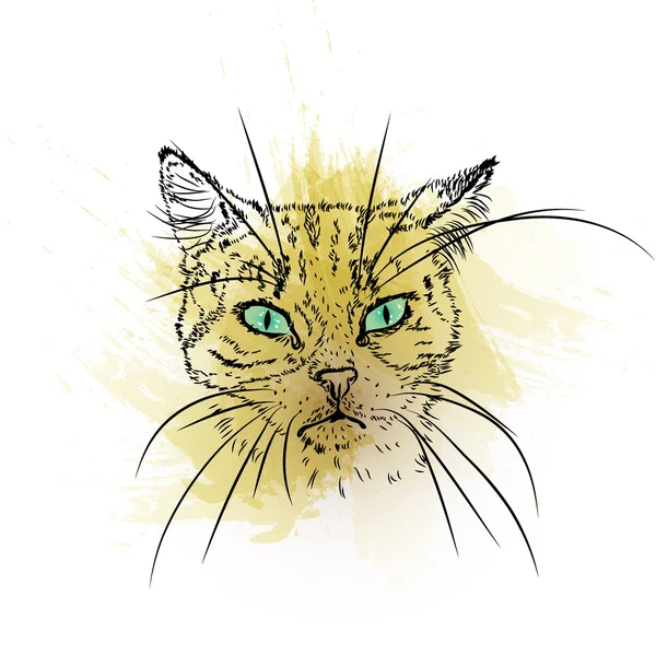 Hand getekend portret van de kat met aquarel blots — Stockvector