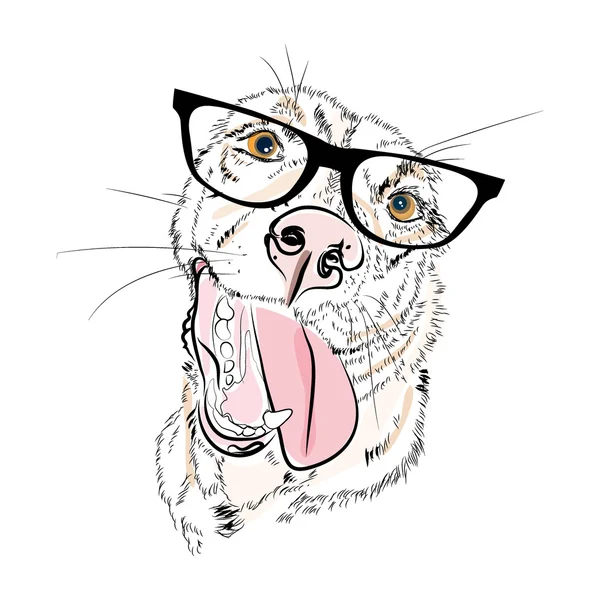 Retrato de moda dibujado a mano de niño perro hipster aislado en blanco — Vector de stock