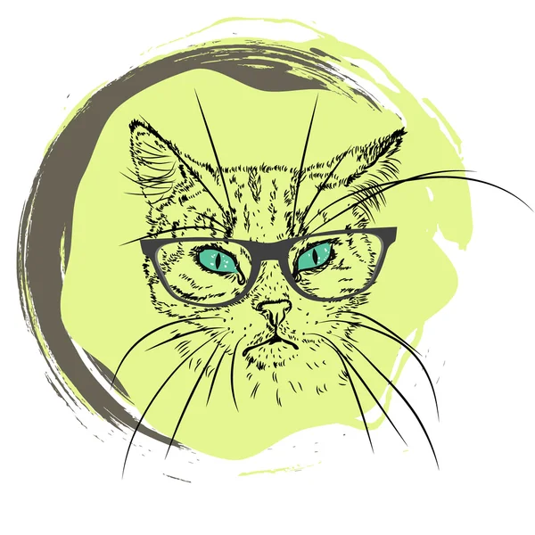 Hipster kedi. Vektör çizim