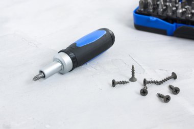 Aracı farklı püskürtme uçlarını ve vidaları ile tornavida seti