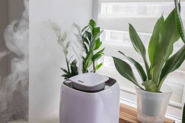 Ev tipi nemlendirici kapalı alan bitkilerinin yakınındaki odaya sis bulutu salıyor. Kapalı hava suyu kavramı, kuru hava rahatlama, bitki bakımı, nem desteği..