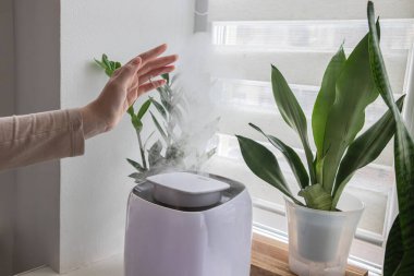 Kadın elini bir ev nemlendiricisinden yükselen sisin üstünde tutuyor. Nem kavramı, kuru hava, kapalı su ve ısıtma mevsimi konforu..