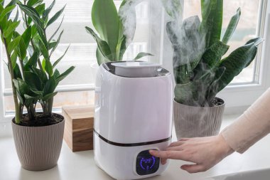 Kadın, dijital kontrol panelini kullanarak nemlendiriciyi ayarlıyor. Kapalı alan nem düzenlemesi, kuru hava azaltımı, kış iklimi konforu, akıllı ev havası bakımı ve nem dengesi kavramı.