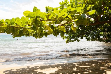 Öğleden sonra sahilde. Altın gökyüzü ve tropikal hava. Ilhabela konsepti.