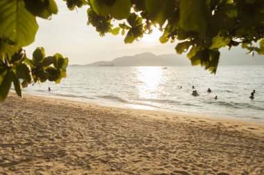 Öğleden sonra sahilde. Altın gökyüzü ve tropikal hava. Ilhabela konsepti.
