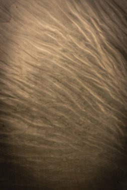 Yumuşak dalga benzeri desenler ve sıcak kahverengi tonlarla aydınlatılmış yüzeyin soyut görüntüsü sakinliği, sıcaklığı ve sanatsal minimalizmi çağrıştıran sakin bir doku oluşturuyor..