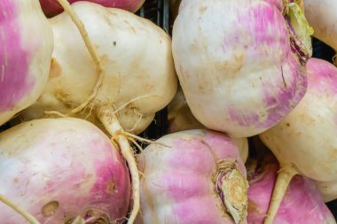 Yerel bir pazarda, pembe bluzlu ve beyaz köklü taze toplanmış şalgam yığını. Toprak dokusu ve doğal tonlar tazeliği, sağlıklı beslenmeyi ve mevsimlik çiftliği yansıtır..