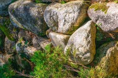 Duvara yerleştirilmiş yumuşak taşlar, sıcak öğle güneşinin altında canlı yeşil bitkilerle tamamlanır ve bahçede sakin ve doğal bir ortam yaratır..