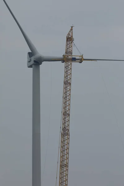 クローラクレーンは新しい風力タービンのローターブレードを保持しています — ストック写真