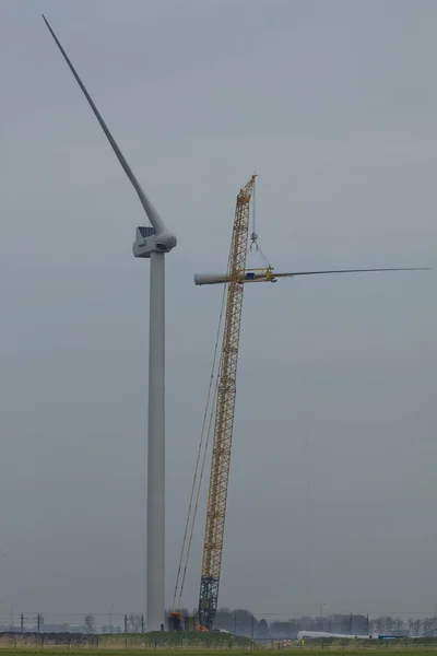 Een Rupskraan Hijst Een Rotorblad Van Een Nieuwe Windturbine — Stockfoto