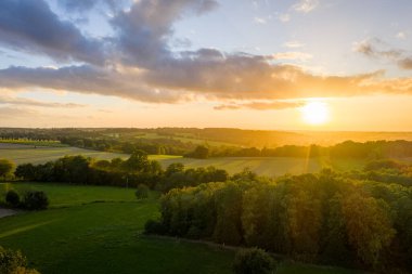 Golden Sunset Over Rolling Fields and Forest, Warm Light, Calm Rural Landscape at Dusk