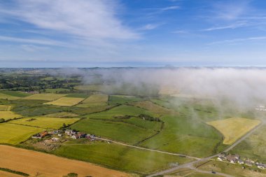 Çitlere ve yollara bölünmüş yeşil ve altın tarlaların resmi, açık mavi gökyüzü altında alçak bir sis sürükleniyor, sakin kırsal manzarayı çağrıştırıyor, County Down