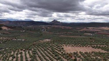 Olive Grove Çiftliği dramatik bulutlu gökyüzü ve uzak dağlar, Archidona, İspanya