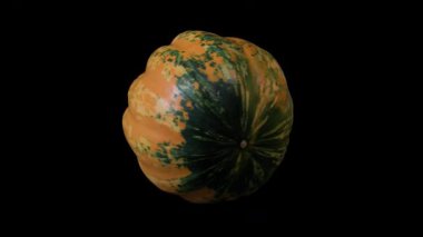 Siyah arka planda dönen bir balkabağının gerçekçi üç boyutlu animasyonu. Sonbahar temaları, Cadılar Bayramı projeleri ya da sağlıklı yemek promosyonları için harika..