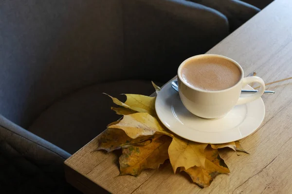 Cocoa in cafe. Cozy winter drink.