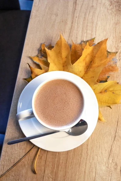 Cocoa in cafe. Cozy winter drink.