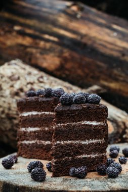 Böğürtlenli ev yapımı çikolatalı pasta..