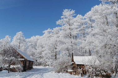Kışın ormandaki kır evi. Avrupa 'da kış.