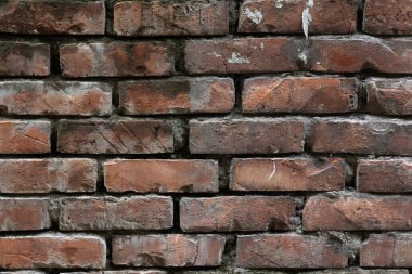 Rustic charm meets urban grit with this brick wall. Use it for backgrounds, textures, or to add vintage character to your next project. Solid, strong, and detailed.