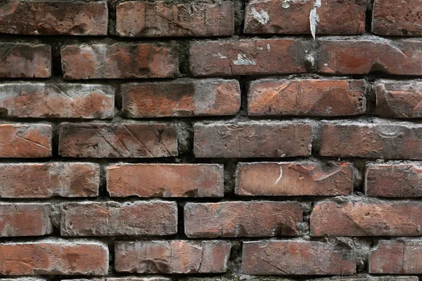 Rustic charm meets urban grit with this brick wall. Use it for backgrounds, textures, or to add vintage character to your next project. Solid, strong, and detailed.