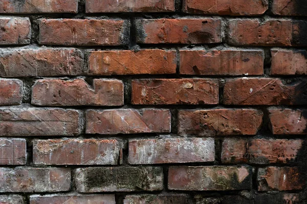 Timeless brick wall texture adds rustic character to designs. Perfect for backgrounds, overlays, or adding vintage charm to any project with authentic appeal.