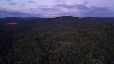 Göz kamaştırıcı hava görüntüleri, sakin, resimli orman manzarasını alacakaranlık saatlerinde güzel bir şekilde yakalıyor.
