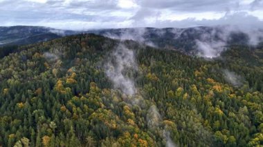 Hava görüntüleri, resimli dağlık bir bölgede canlı sonbahar renklerine sahip sisli bir ormanı gösteriyor.