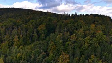 Bereketli yeşil ormanların, güzel manzaraların ve manzaralı tepelerin nefes kesici ve çarpıcı hava manzaralarını tecrübe edin.